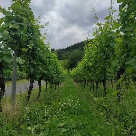 Rippchen-schmiede./restaurant Und Cafe Konukevi